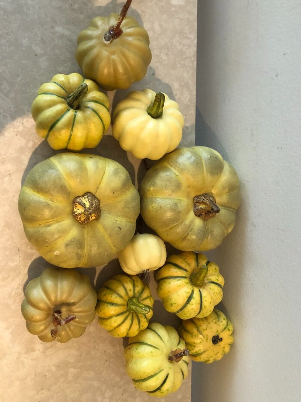 Faux Fall Pumpkins & Gourds Thanksgiving Autumn Seasonal Home Table Decor 25 pcs - Picture 3 of 7